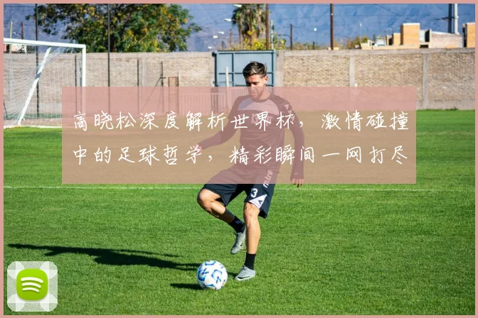 高晓松深度解析世界杯，激情碰撞中的足球哲学，精彩瞬间一网打尽
